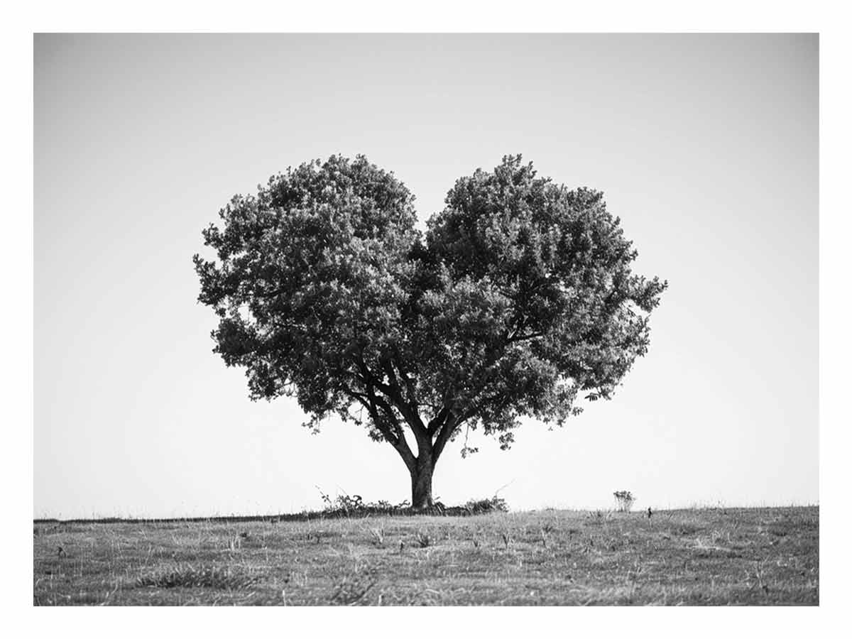 Tree Heart Black and white Photography Canvas Art Print
