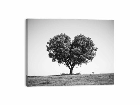 Tree Heart Black and white Photography Canvas Art Print