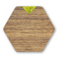 Wooden Coasters - American Walnut / Set of 4 Coasters