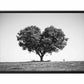 Tree Heart  Black and white Photography Canvas Art Print