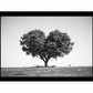 Tree Heart  Black and white Photography Canvas Art Print