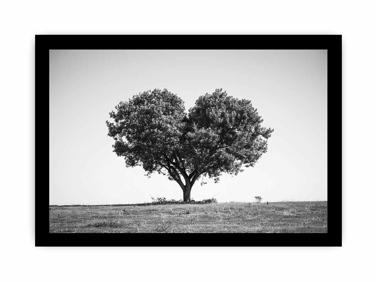 Tree Heart  Black and white Photography Canvas Art Print