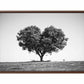 Tree Heart  Black and white Photography Canvas Art Print